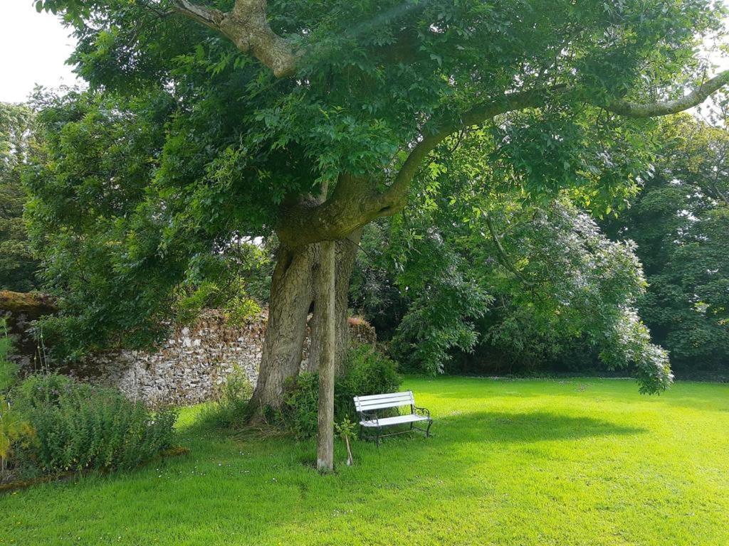 Shanagarry Kilmahon House, P25A973 Bed & Breakfast エクステリア 写真